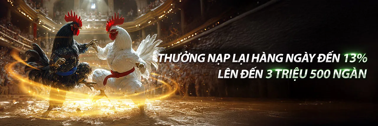 Đá gà trực tuyến 78win link mới - Sân chơi cá cược đỉnh cao